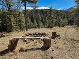 4220 Denton Gulch Road - Photo 7
