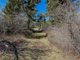 4220 Denton Gulch Road - Photo 80