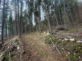 N/A Hwy 35 - Photo 12
