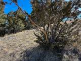 TBD Lone Pine Gulch Road - Photo 10