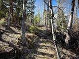 TBD Lone Pine Gulch Road - Photo 12