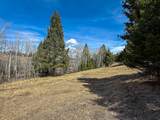 TBD Lone Pine Gulch Road - Photo 2