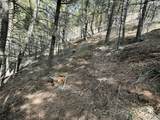TBD Lone Pine Gulch Road - Photo 21