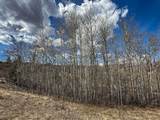 TBD Lone Pine Gulch Road - Photo 22