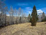 TBD Lone Pine Gulch Road - Photo 24