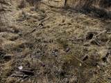 TBD Lone Pine Gulch Road - Photo 27