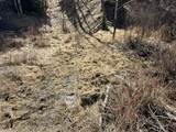 TBD Lone Pine Gulch Road - Photo 28