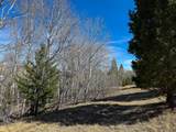 TBD Lone Pine Gulch Road - Photo 30