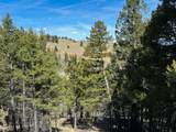 TBD Lone Pine Gulch Road - Photo 32