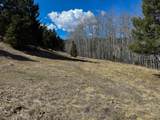 TBD Lone Pine Gulch Road - Photo 34