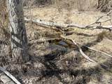 TBD Lone Pine Gulch Road - Photo 35