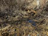 TBD Lone Pine Gulch Road - Photo 38