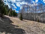 TBD Lone Pine Gulch Road - Photo 39
