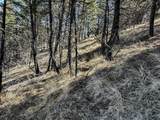 TBD Lone Pine Gulch Road - Photo 42