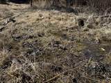 TBD Lone Pine Gulch Road - Photo 48