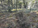 TBD Lone Pine Gulch Road - Photo 54