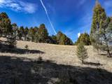 TBD Lone Pine Gulch Road - Photo 55