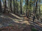 TBD Lone Pine Gulch Road - Photo 57