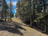 TBD Lone Pine Gulch Road - Photo 58