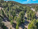 TBD Lone Pine Gulch Road - Photo 9
