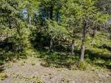 NHN Hummingbird Lane - Photo 24
