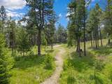 460 Buffalo Lane - Photo 4