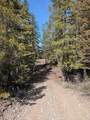 2172 Blackburn Drive - Photo 8