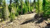 1350 Quaking Aspen Court - Photo 5