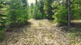 1350 Quaking Aspen Court - Photo 6