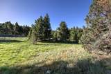 NHN Lot 3 Phase 3A Dolus Lakes Road - Photo 10