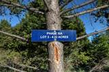 NHN Lot 3 Phase 3A Dolus Lakes Road - Photo 3