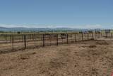 TBD Whitehorse Road - Photo 11