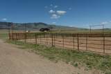 TBD Whitehorse Road - Photo 12