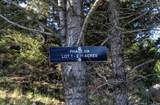 NHN Lot 7 Phase 3A Dolus Lakes Road - Photo 3