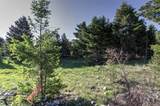 NHN Lot 7 Phase 3A Dolus Lakes Road - Photo 6