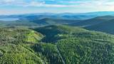 Nhn Little Bitterroot Overlook - Photo 19