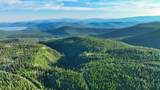 Nhn Little Bitterroot Overlook - Photo 20