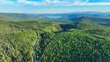 Nhn Little Bitterroot Overlook - Photo 4