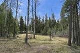 80 Blaney Lane - Photo 4