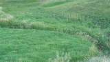 8377 Us Hwy 89 - Photo 60