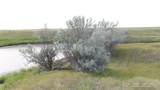 8377 Us Hwy 89 - Photo 64