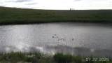 8377 Us Hwy 89 - Photo 68