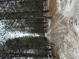 131 Break Road - Photo 3