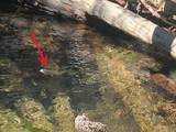 7 Boulder Road - Photo 17
