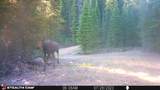 7 Boulder Road - Photo 24