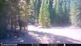 7 Boulder Road - Photo 25
