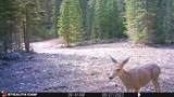 7 Boulder Road - Photo 27
