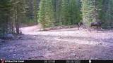 7 Boulder Road - Photo 28