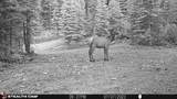 7 Boulder Road - Photo 30