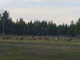 7377 Mt Highway 83 - Photo 30